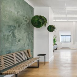 Moskugle med planter